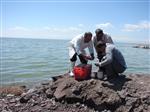 اجرای 6 طرح تحقییقاتی با تاثیر گذاری ملی و منطقه ای در حوزه غربی دریاچه ارومیه